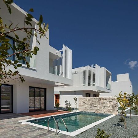 Avalon 1 Villa 14 파포스 외부 사진